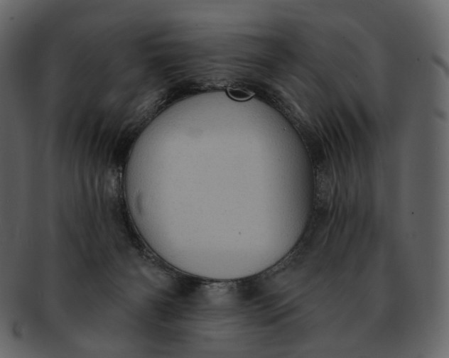 X0000092300126200710051227