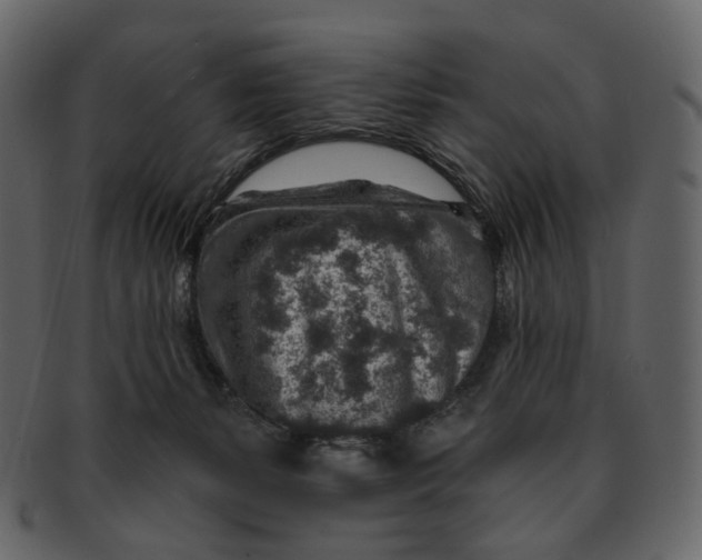 X0000092300127200710051227