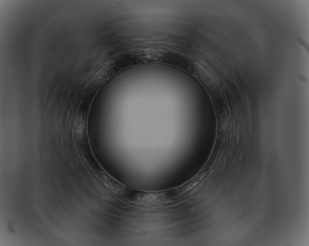 X0000092300129200710051227