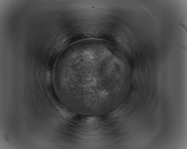 X0000092300130200710051227