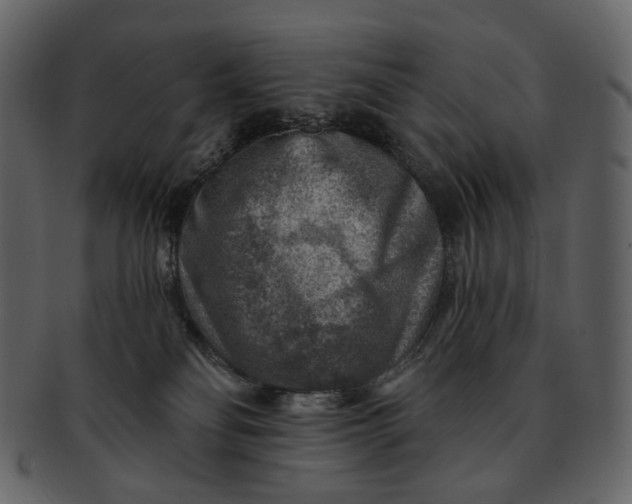 X0000092300134200710051227