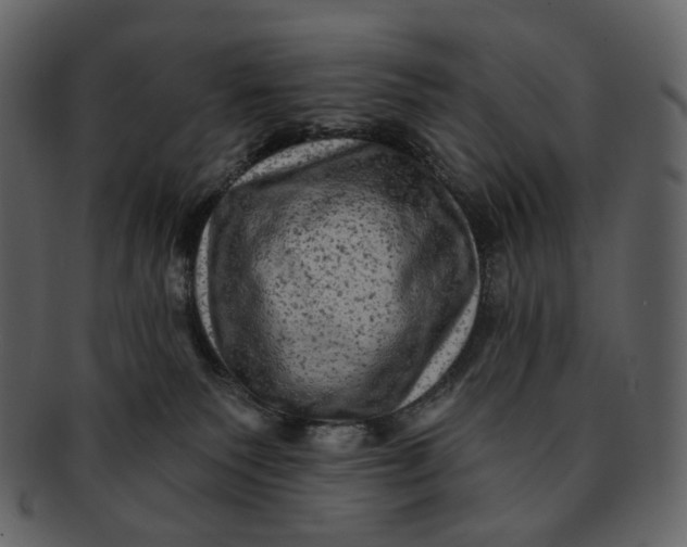 X0000092300135200710051227