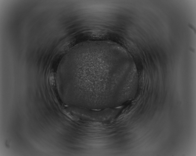 X0000092300137200710051227