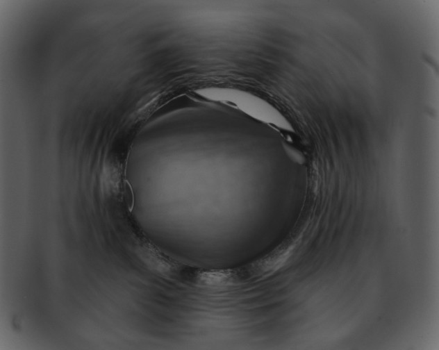 X0000092300139200710051227