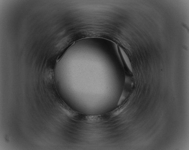 X0000092300141200710051227