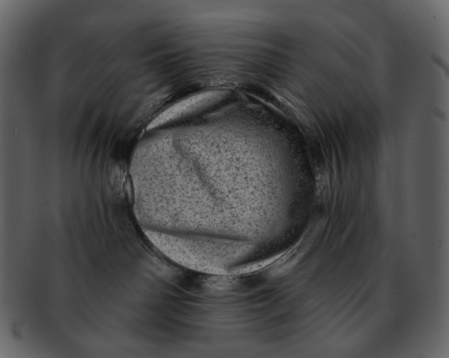 X0000092300142200710051227