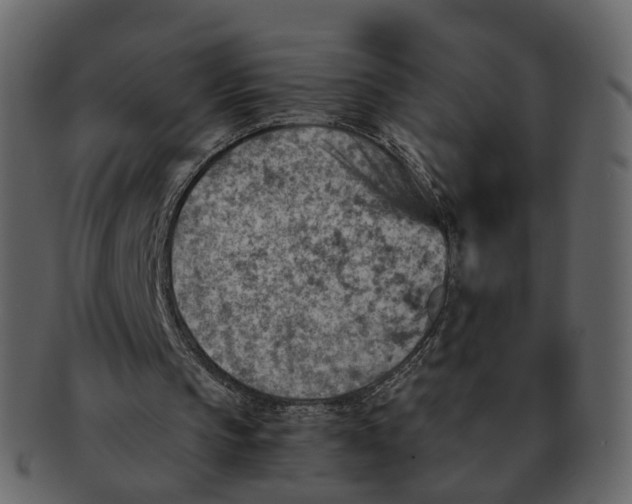 X0000092300145200710051226