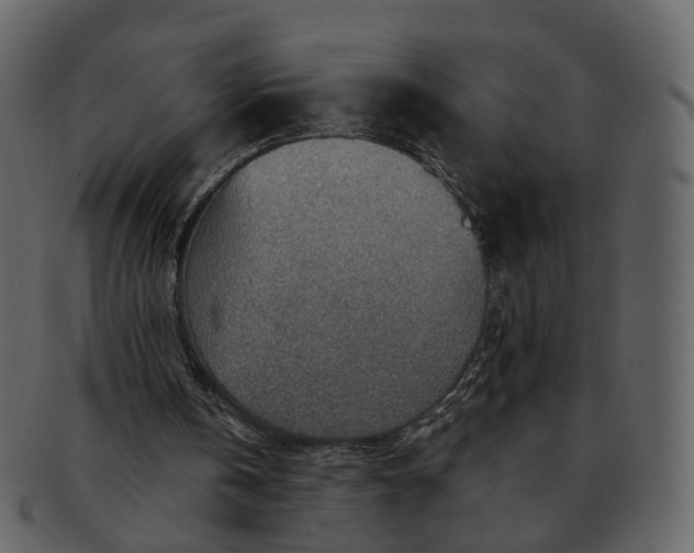 X0000092300146200710051226