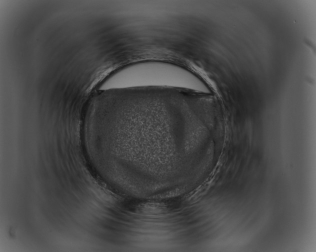 X0000092300154200710051226