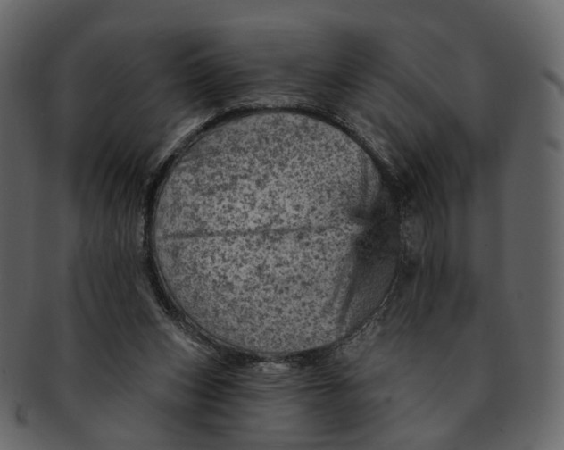 X0000092300159200710051226