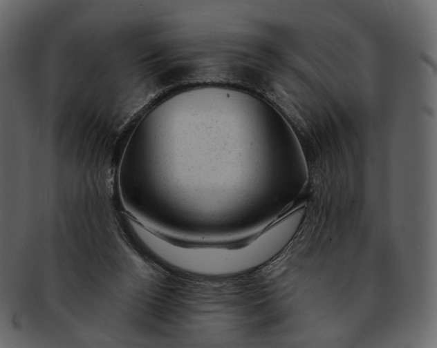 X0000092300160200710051226