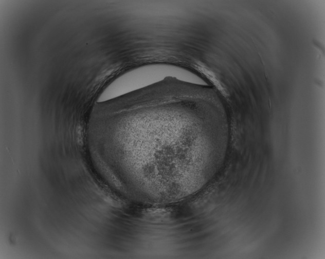 X0000092300161200710051226