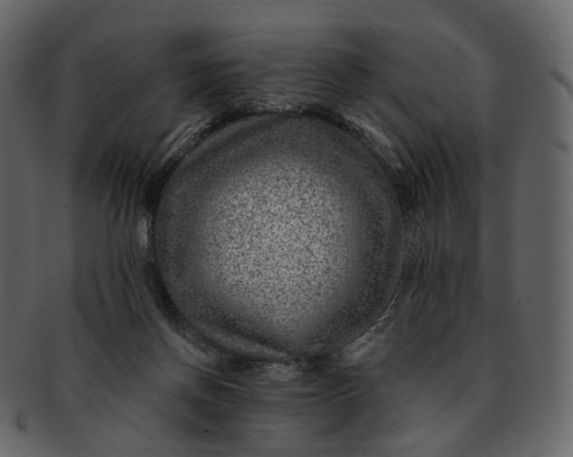 X0000092300166200710051227