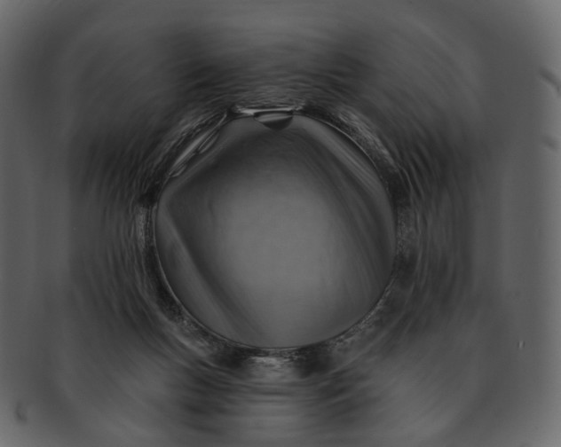 X0000092300167200710051227