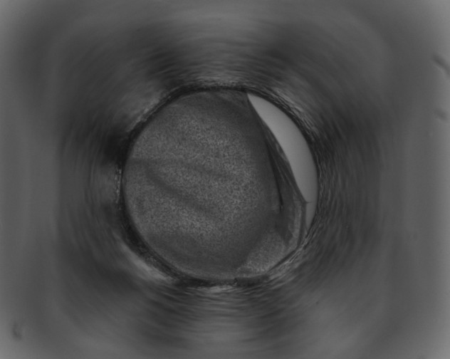 X0000092300168200710051227