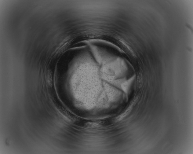 X0000092300170200710051227