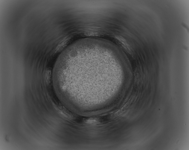 X0000092300171200710051227