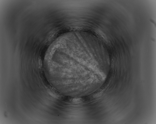 X0000092300173200710051227