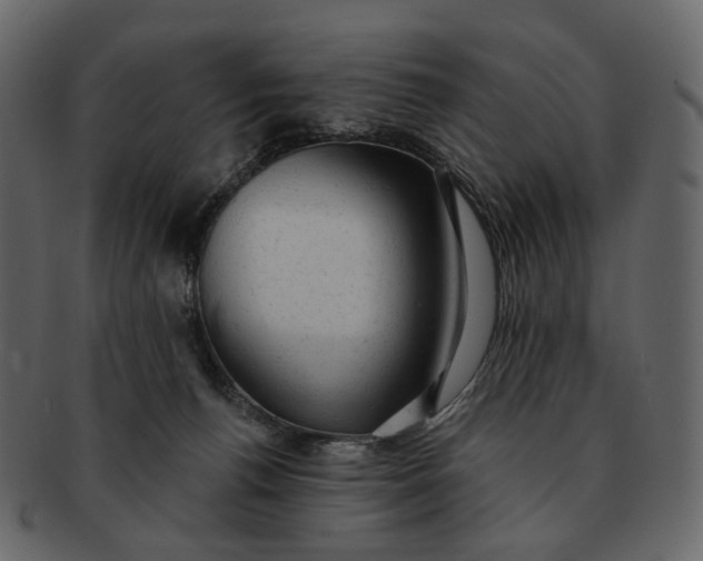 X0000092300176200710051227