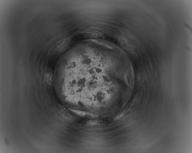 X0000092300177200710051227