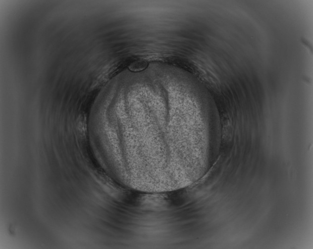 X0000092300179200710051227