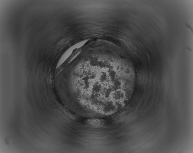 X0000092300181200710051227