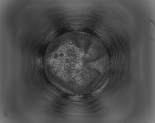 X0000092300182200710051227