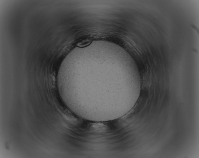 X0000092300183200710051227