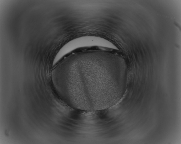 X0000092300186200710051227