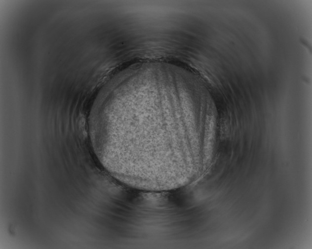 X0000092300187200710051227