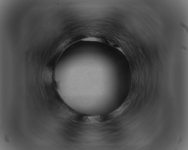 X0000092300188200710051227