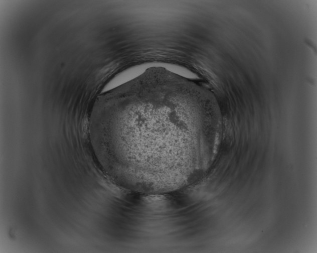 X0000092300189200710051227