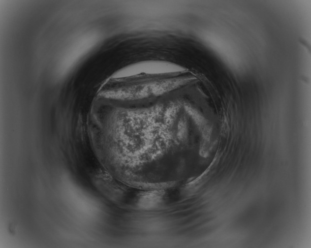 X0000092300191200710051227