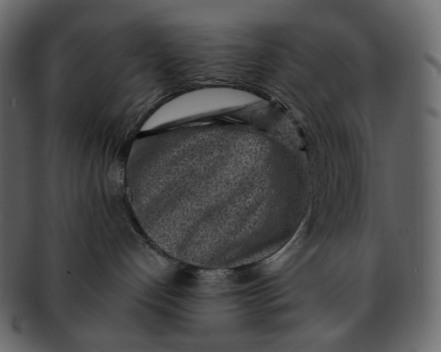 X0000092300192200710051227