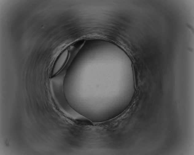 X0000092300193200710051226