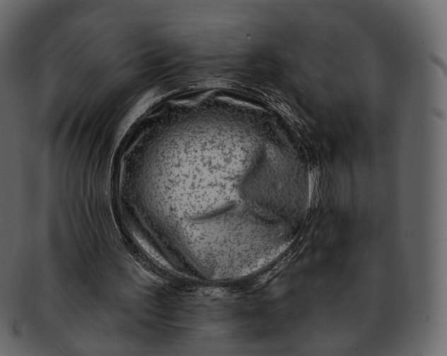 X0000092300195200710051226