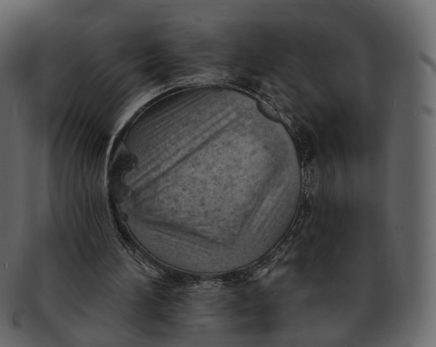 X0000092300196200710051226