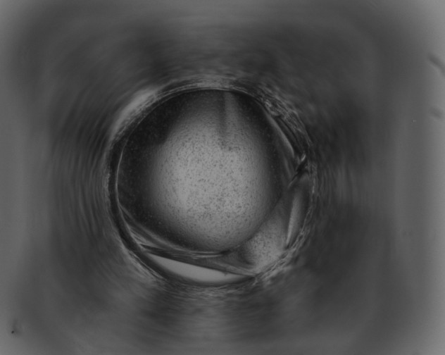 X0000092300197200710051226