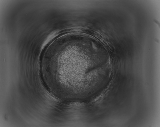 X0000092300198200710051226