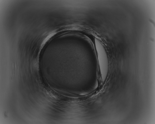 X0000092300200200710051226