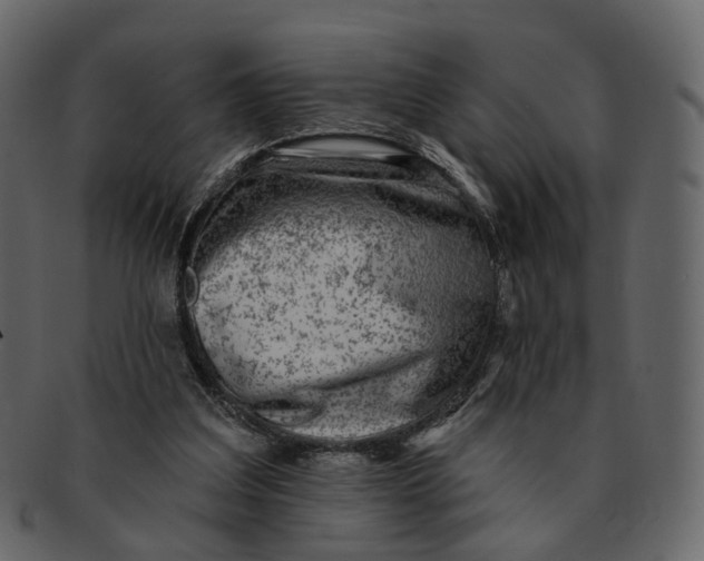 X0000092300203200710051226