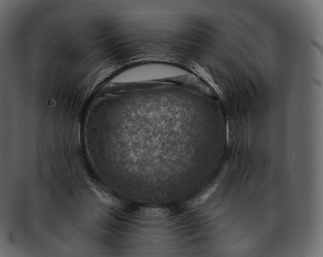 X0000092300205200710051226