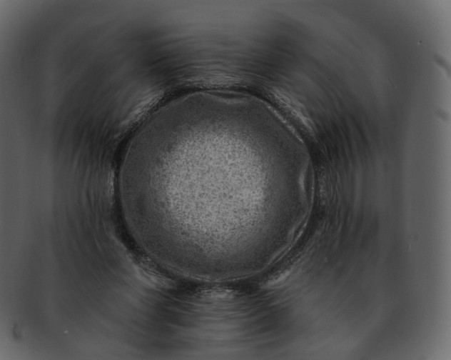 X0000092300206200710051226