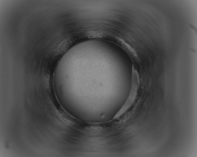 X0000092300209200710051226