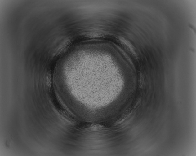 X0000092300210200710051226