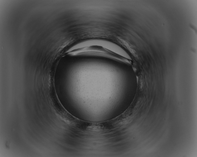 X0000092300211200710051226