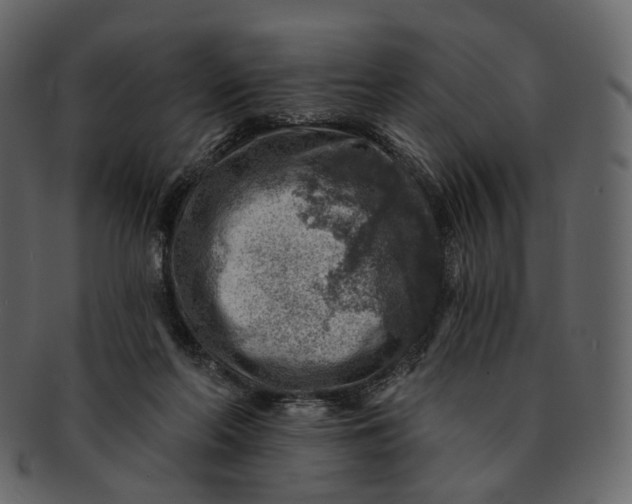 X0000092300214200710051226