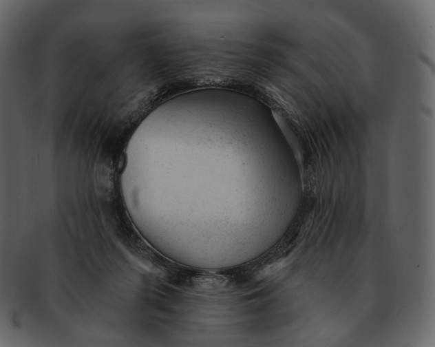 X0000092300215200710051226