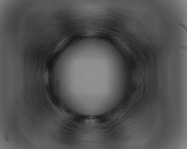 X0000092300216200710051226