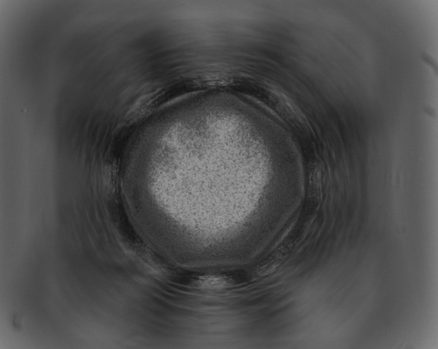 X0000092300218200710051226